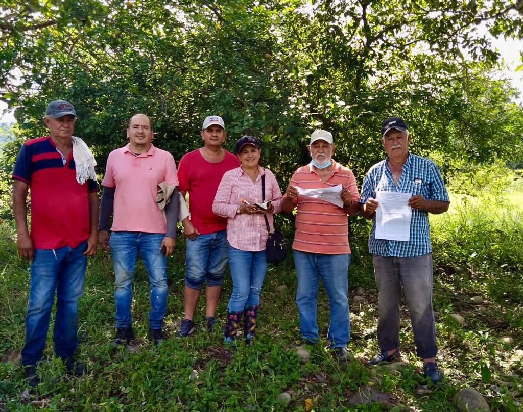 Familia de El Dorado inició proyecto de cría de ganado en tierras restituidas 1