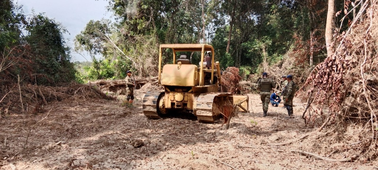 Ejército incautó maquinaria para talar árboles en San Martín 1
