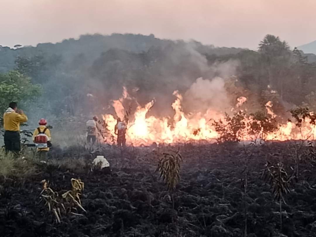 Incendio forestal quema la serranía La Lindosa en Guaviare 1