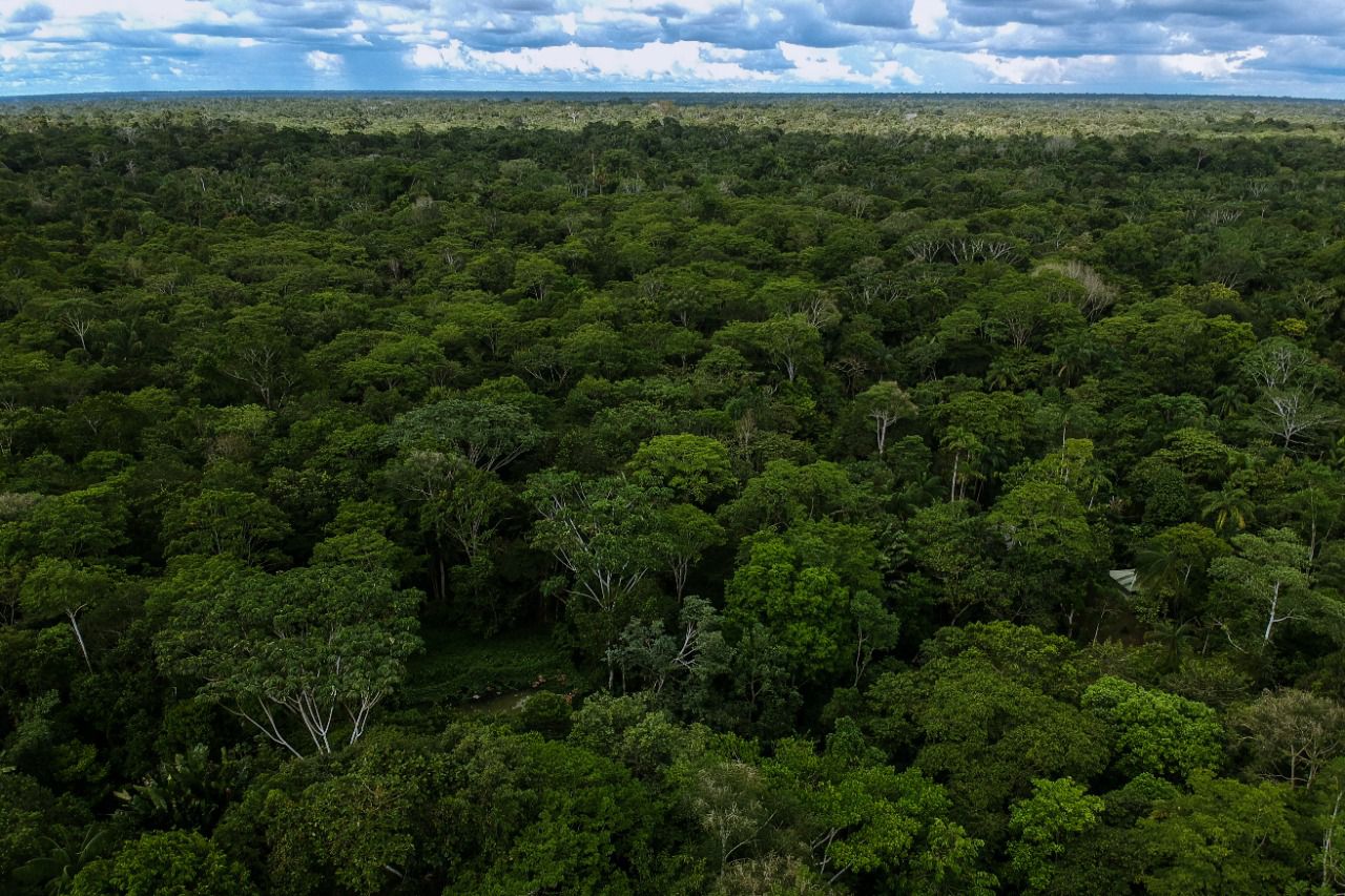 Los retos ambientales de Colombia en el 2023 1