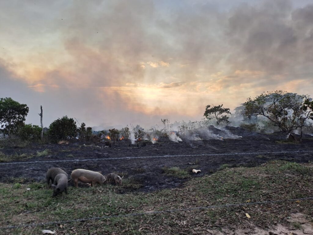 Luego de 10 días de conflagración, autoridades no responden por incendio en La Macarena 3