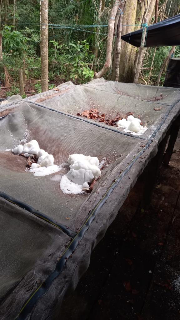 Autoridades destruyeron laboratorio de cocaína en Mapiripán 2
