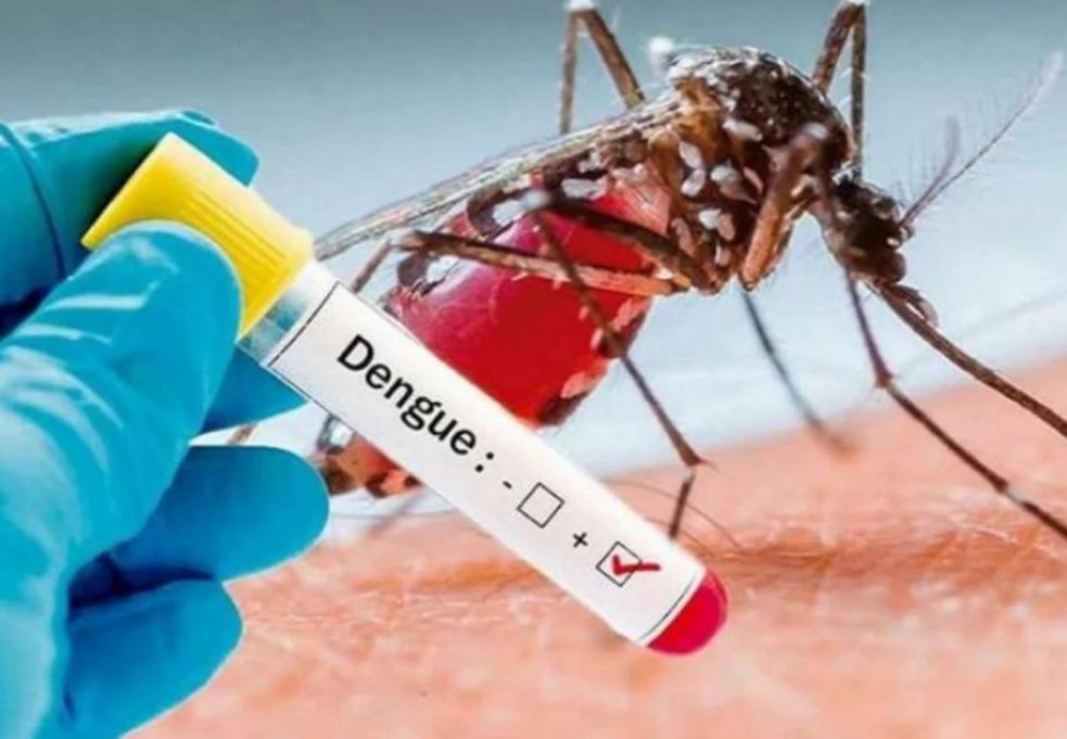¡Atención! Granada reporta brote de dengue con 419 casos 1