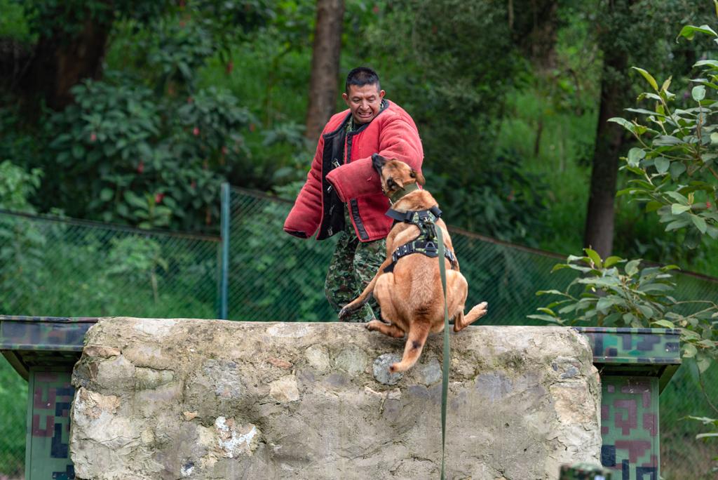 Binomios caninos: la fórmula que permitió salvar a los menores desaparecidos 3