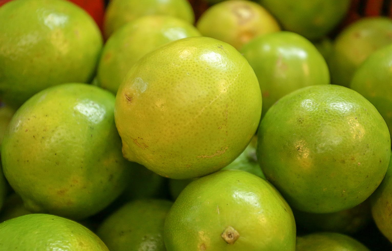 Campesinos de Uribe buscan salvar cosecha de limón Tahití 1