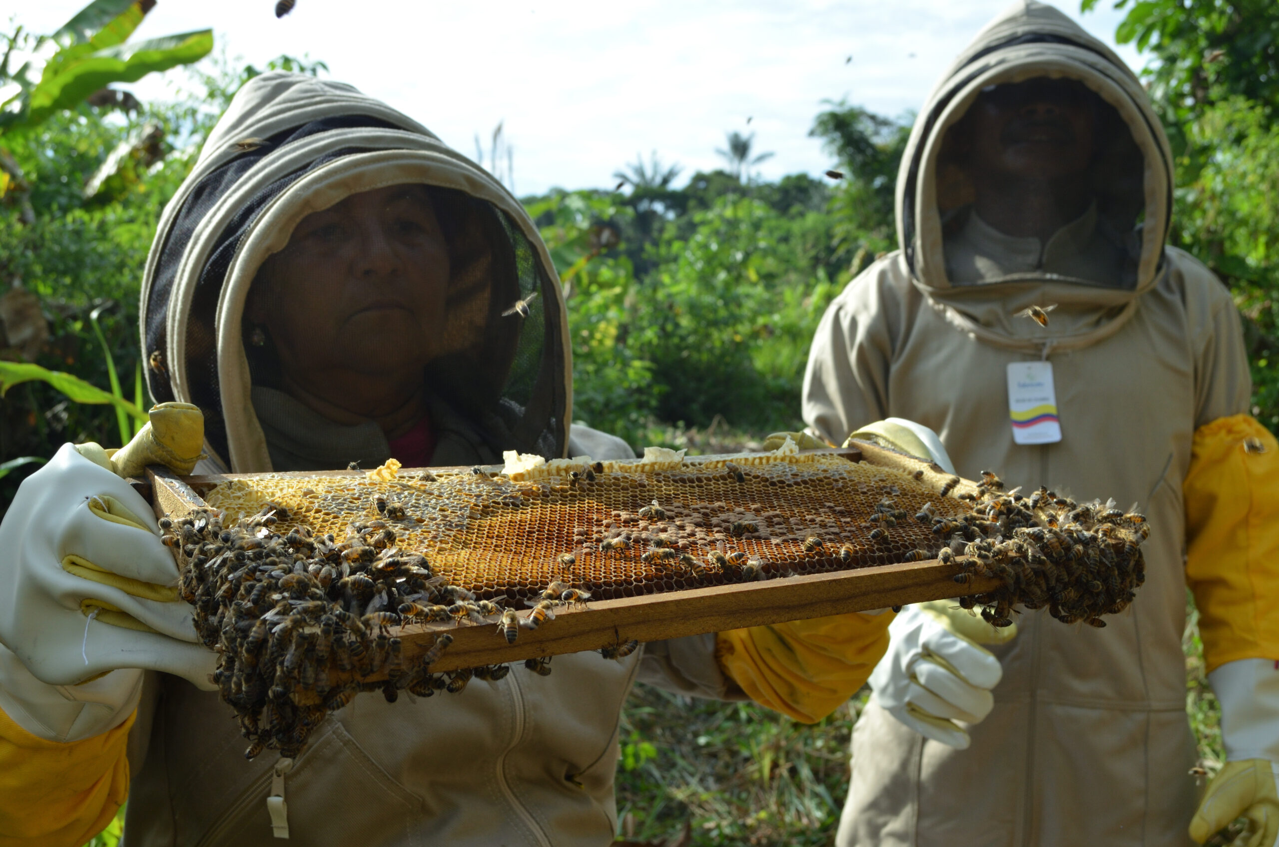 Buscan que ‘convivan’ agricultores y apicultores 1