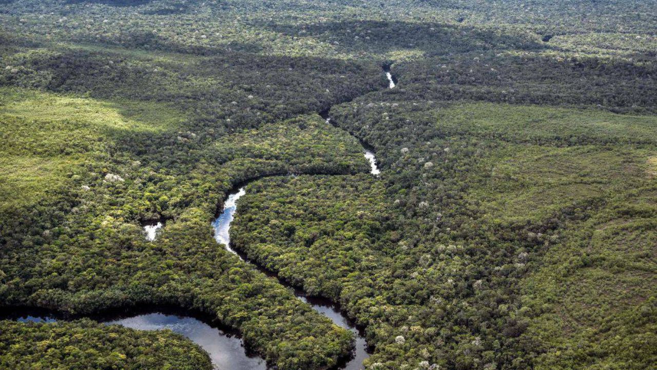 Colombia está lista para realizar la Cumbre Amazónica 1