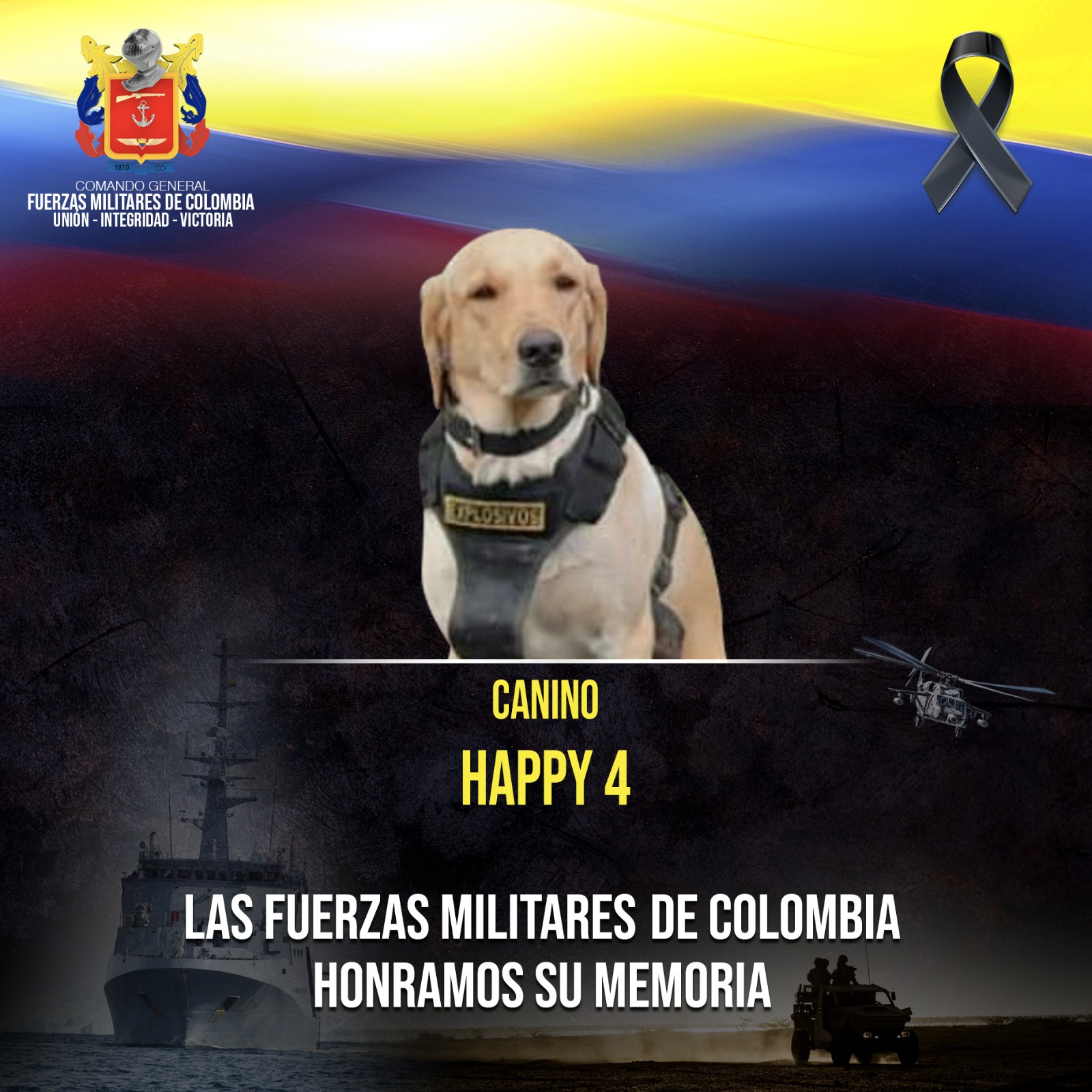 Este era 'Happy 4', el héroe canino que murió en el atentado de Puerto Rico 1