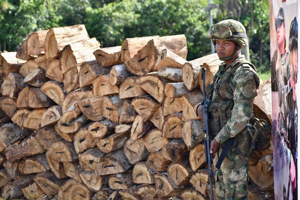 Ejército incautó más de 200 troncos de madera en Mitú 2