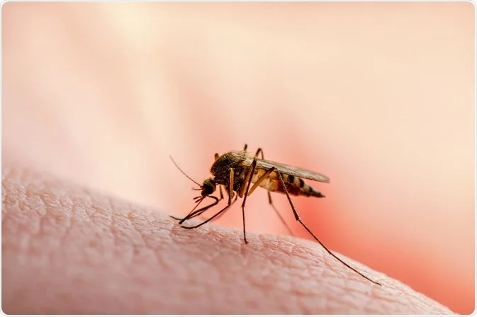 Malaria: carrera contra el tiempo para salvar vidas 1