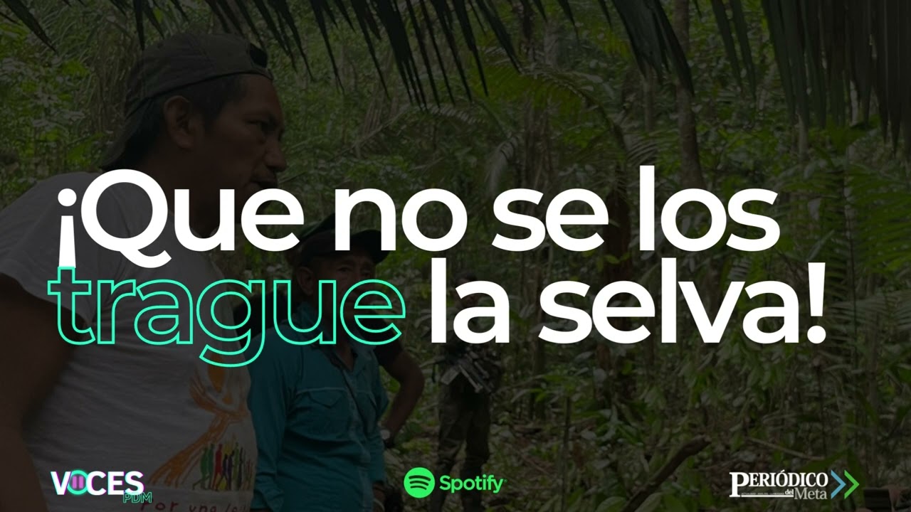 Podcast ¡Que no se los trague la selva! 23