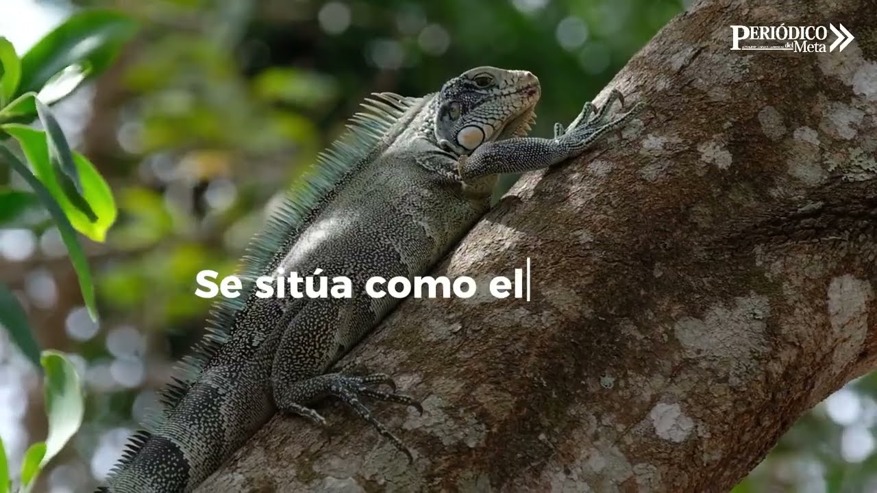 Serranía de Manacacías, nuevo Parque Natural Nacional del país 31