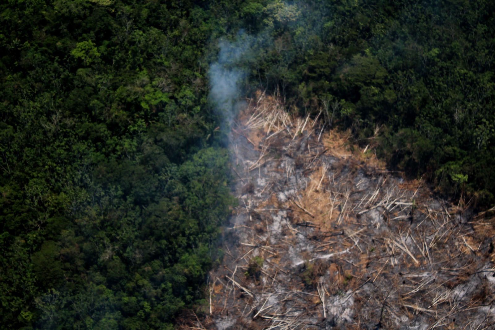 Meta: Incendios forestales afectan más de 300 hectáreas 1