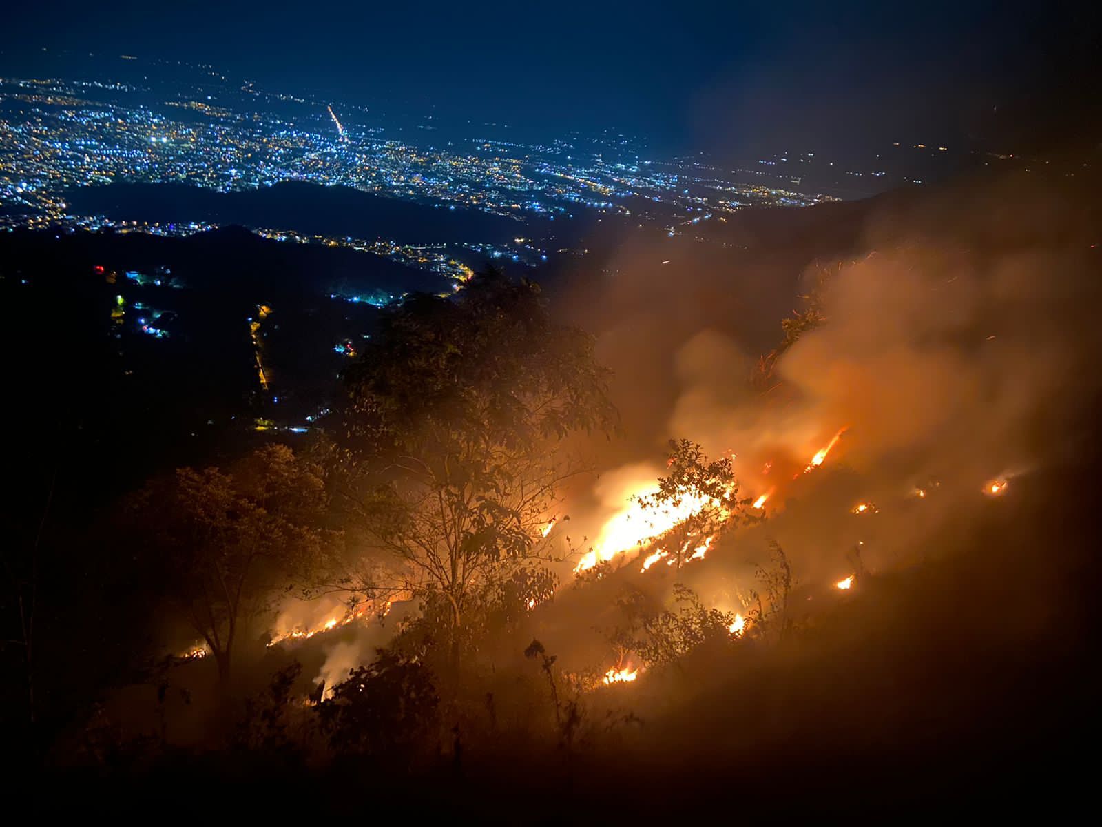 Bomberos controlan incendio forestal en Buenavista 1