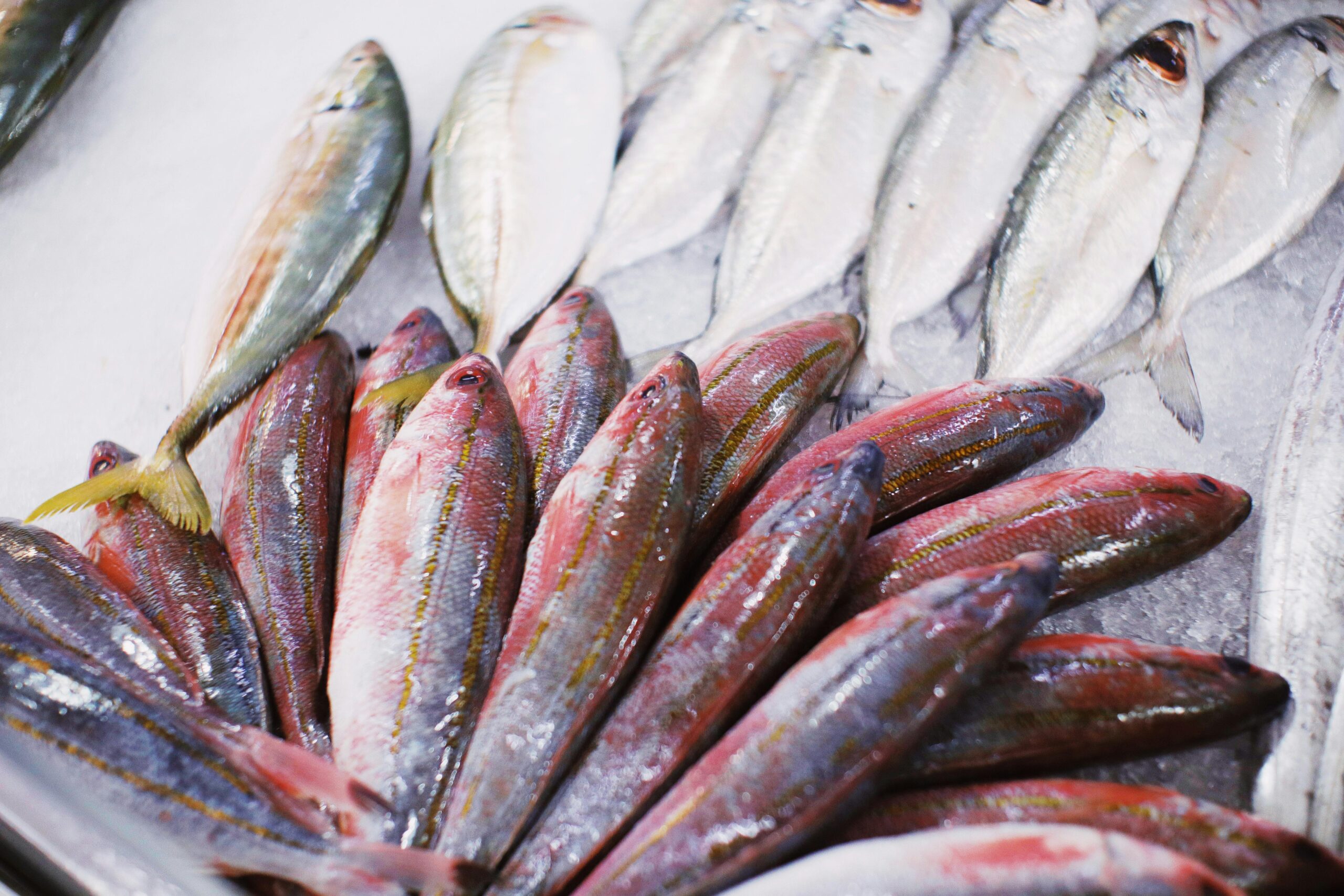 Semana Santa: consejos para no comprar pescado en mal estado 1