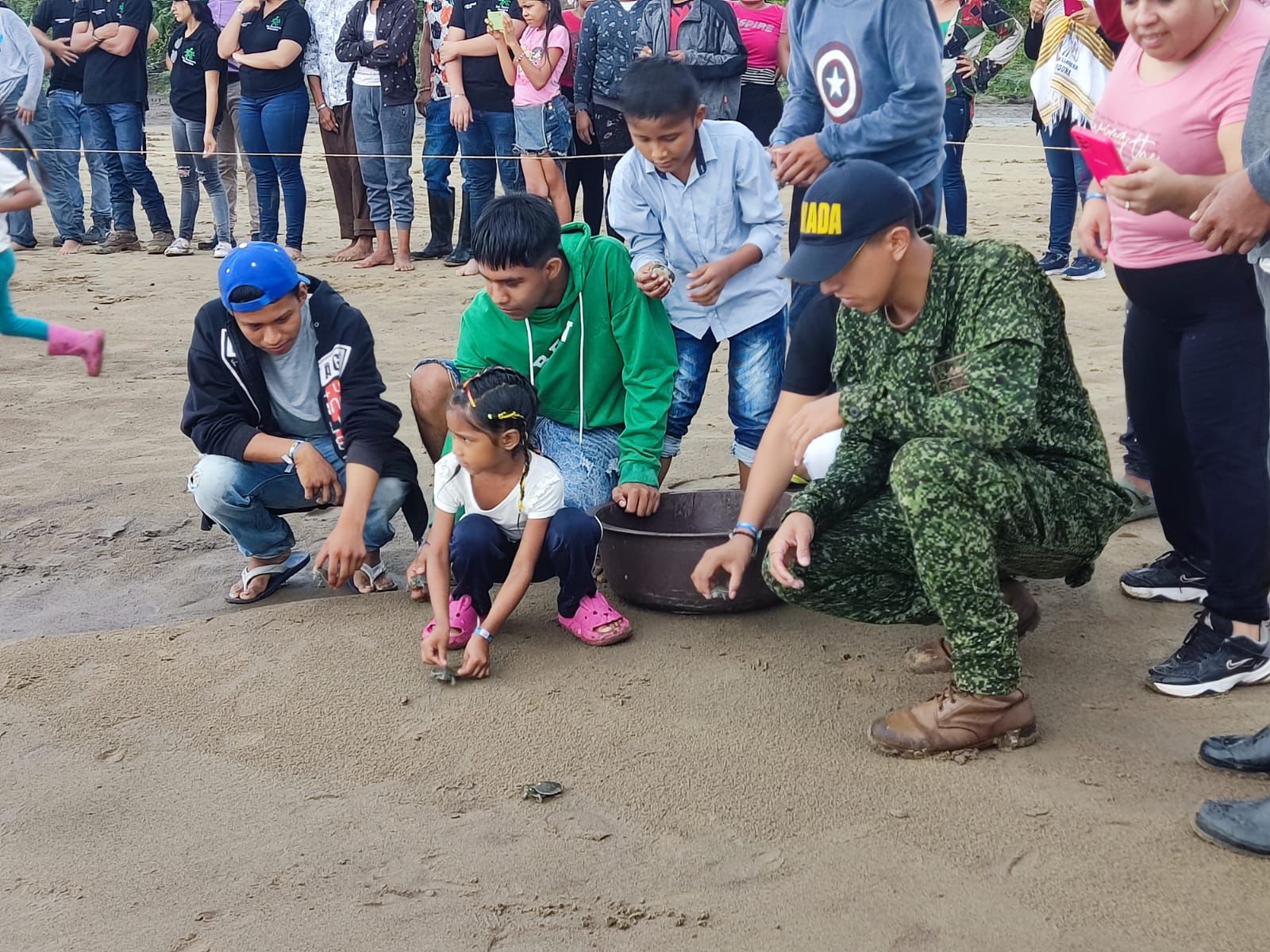 300 tortugas fueron liberadas en Arauca y Casanare 1
