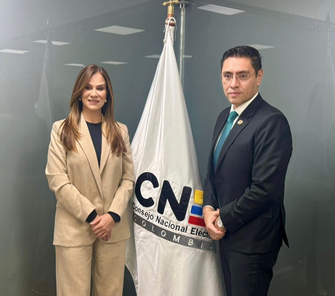Maritza Martínez: nueva presidente del Consejo Nacional Electoral 1
