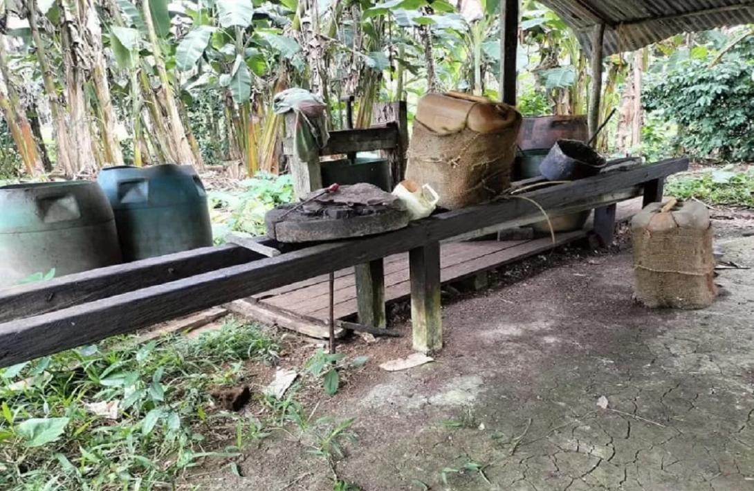 Ejército ubicó laboratorio de coca en el Guaviare 1