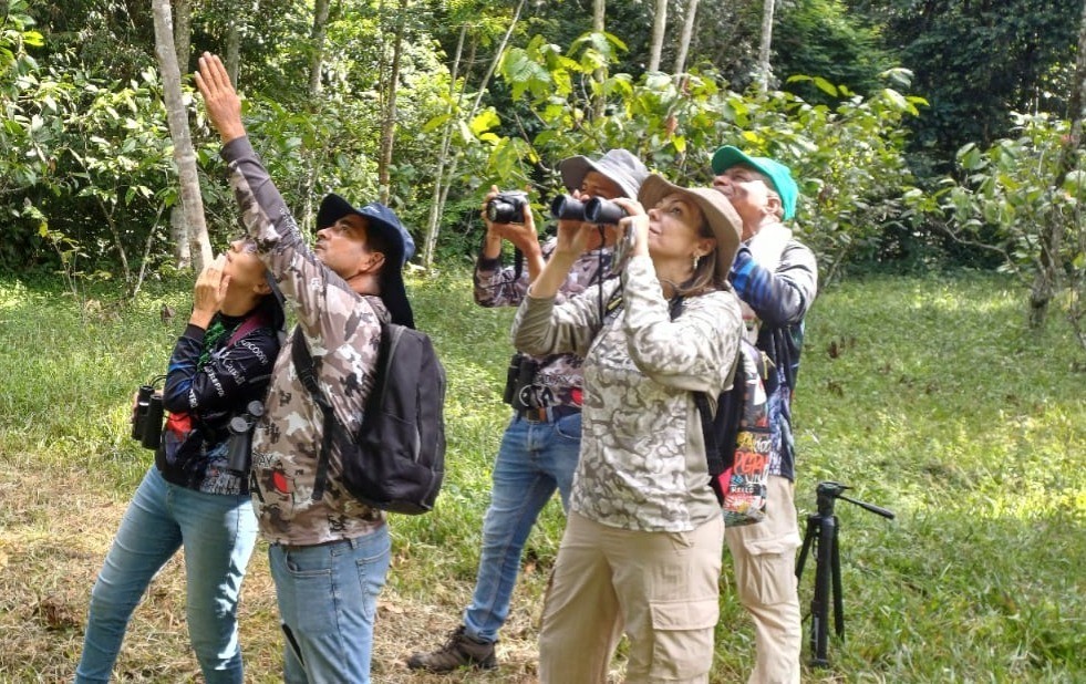 Turismo, aves y cacao 1 Turismo, aves y cacao 1