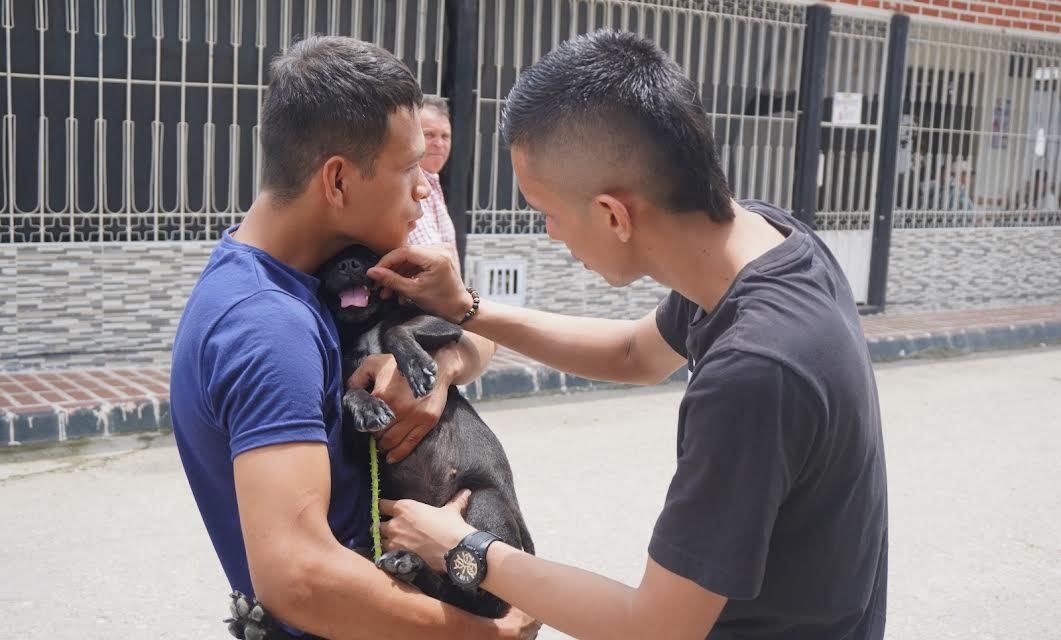 Tres casos de presunto maltrato animal se registraron en Villavicencio 1 Tres casos de presunto maltrato animal se registraron en Villavicencio 1