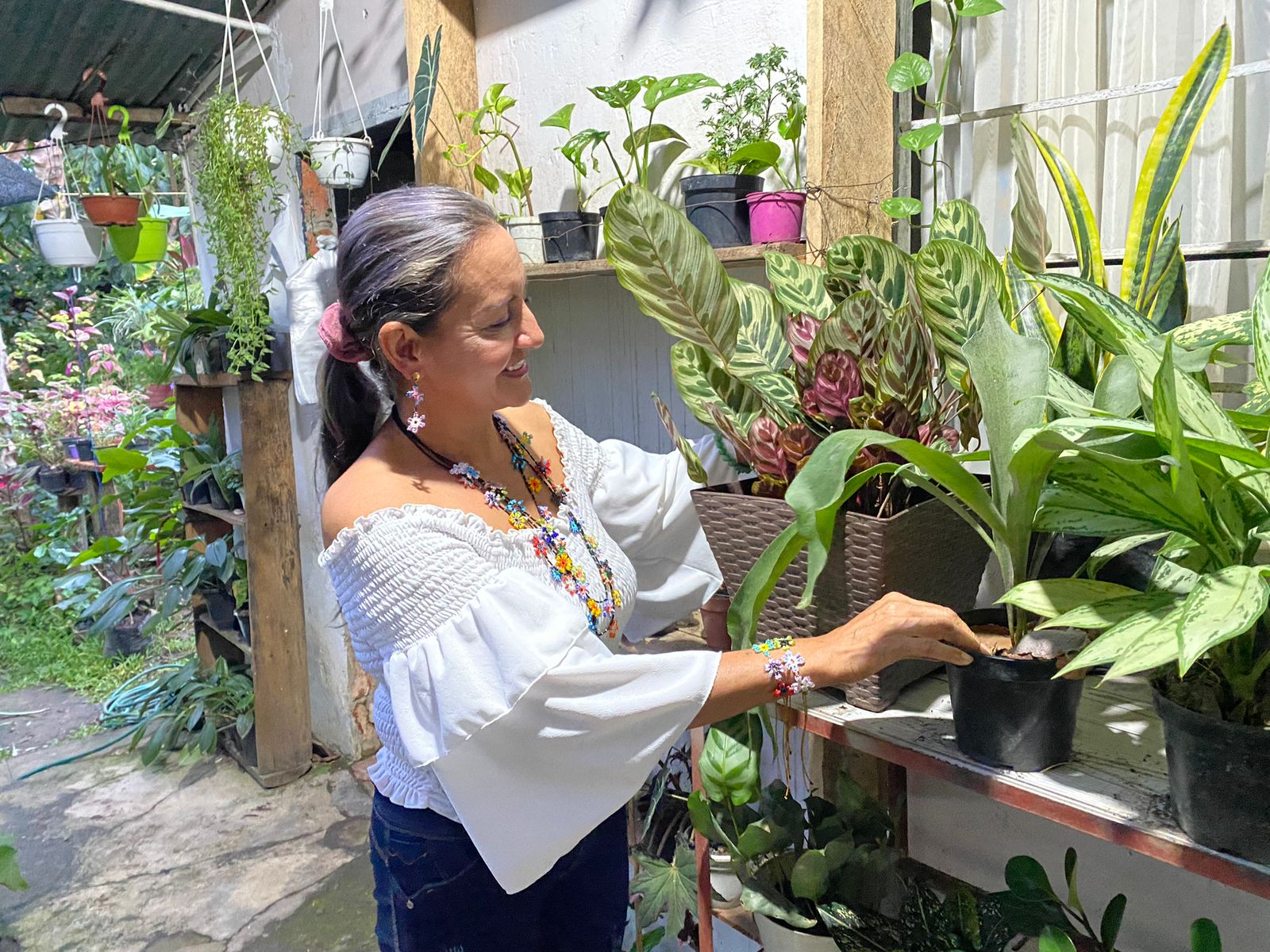 Cultivando esperanza en el corazón de Mesetas 1 Cultivando esperanza en el corazón de Mesetas 1