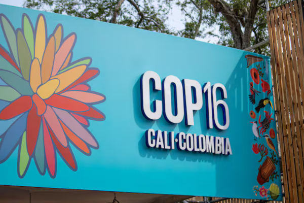 COP16: oportunidad del Meta | Editorial 1 COP16: oportunidad del Meta | Editorial 1