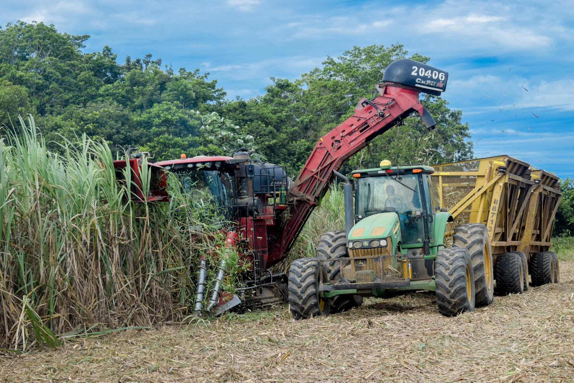 Por bloqueo del paro arrocero, Bioenergy paraliza operaciones 3