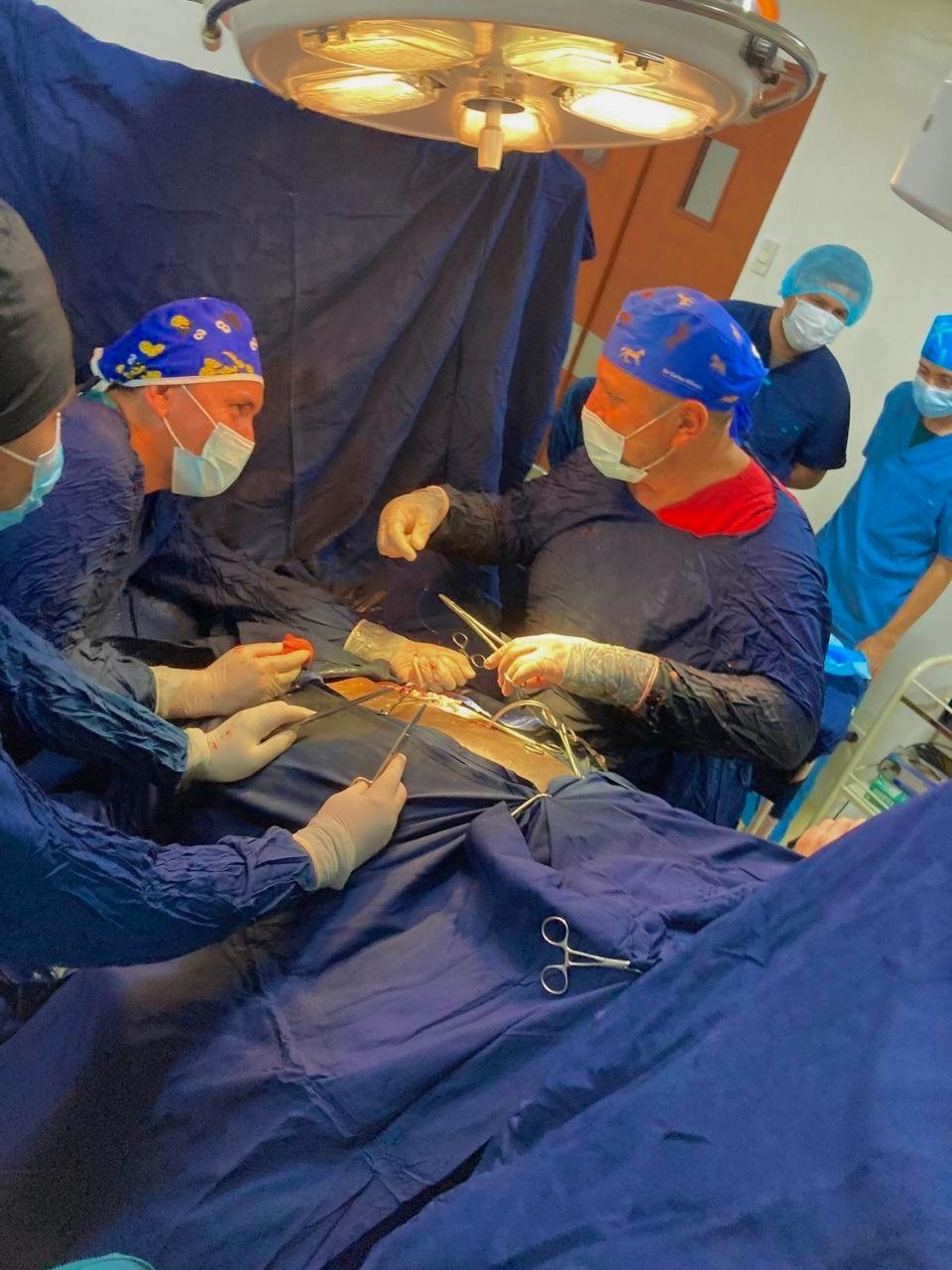 Unillanos lidera la atención veterinaria de alta complejidad en la Orinoquia 1 Unillanos lidera la atención veterinaria de alta complejidad en la Orinoquia 1