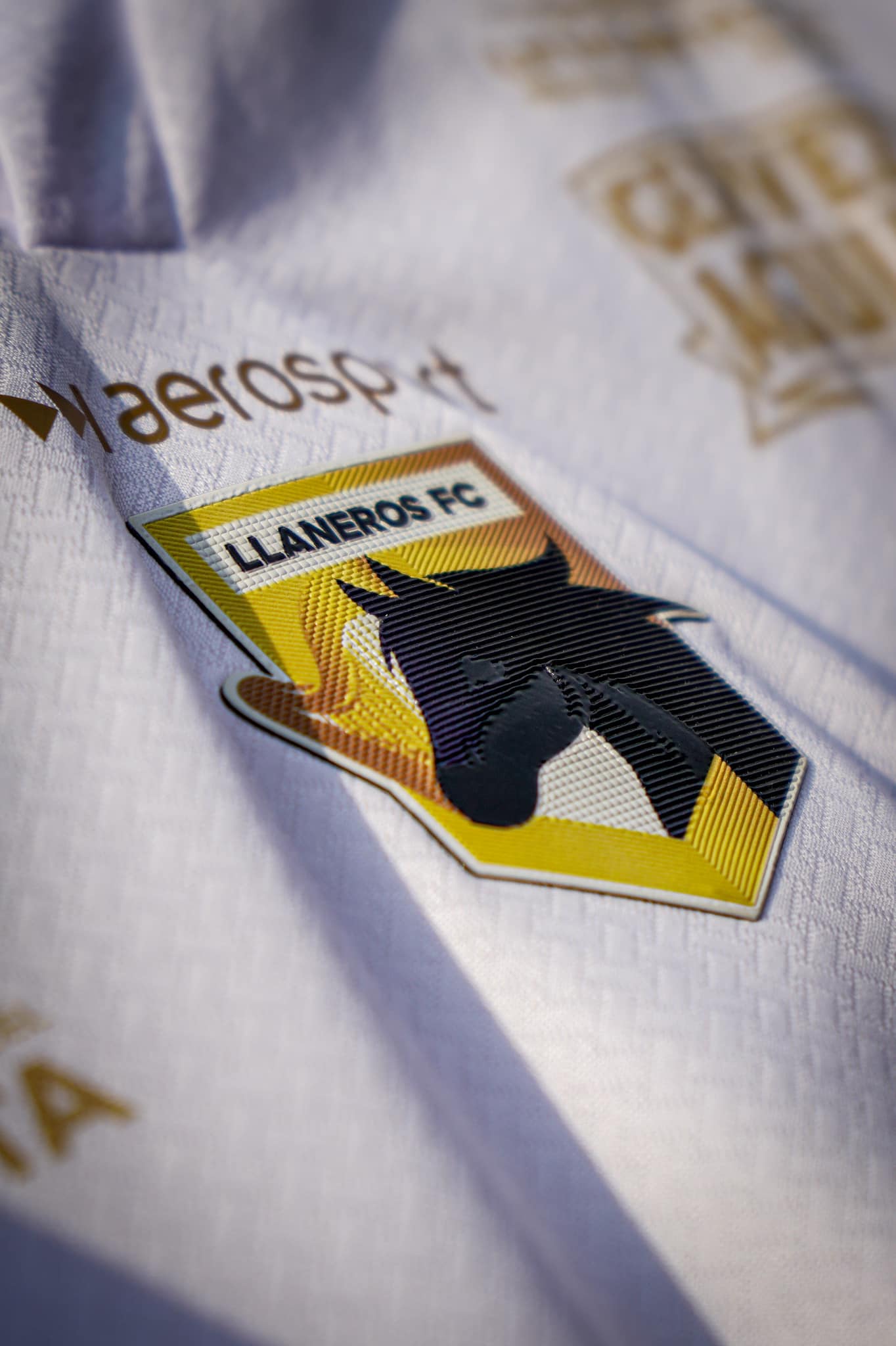 Llaneros busca consolidar su recuperación ante Pasto 1 Llaneros busca consolidar su recuperación ante Pasto 1