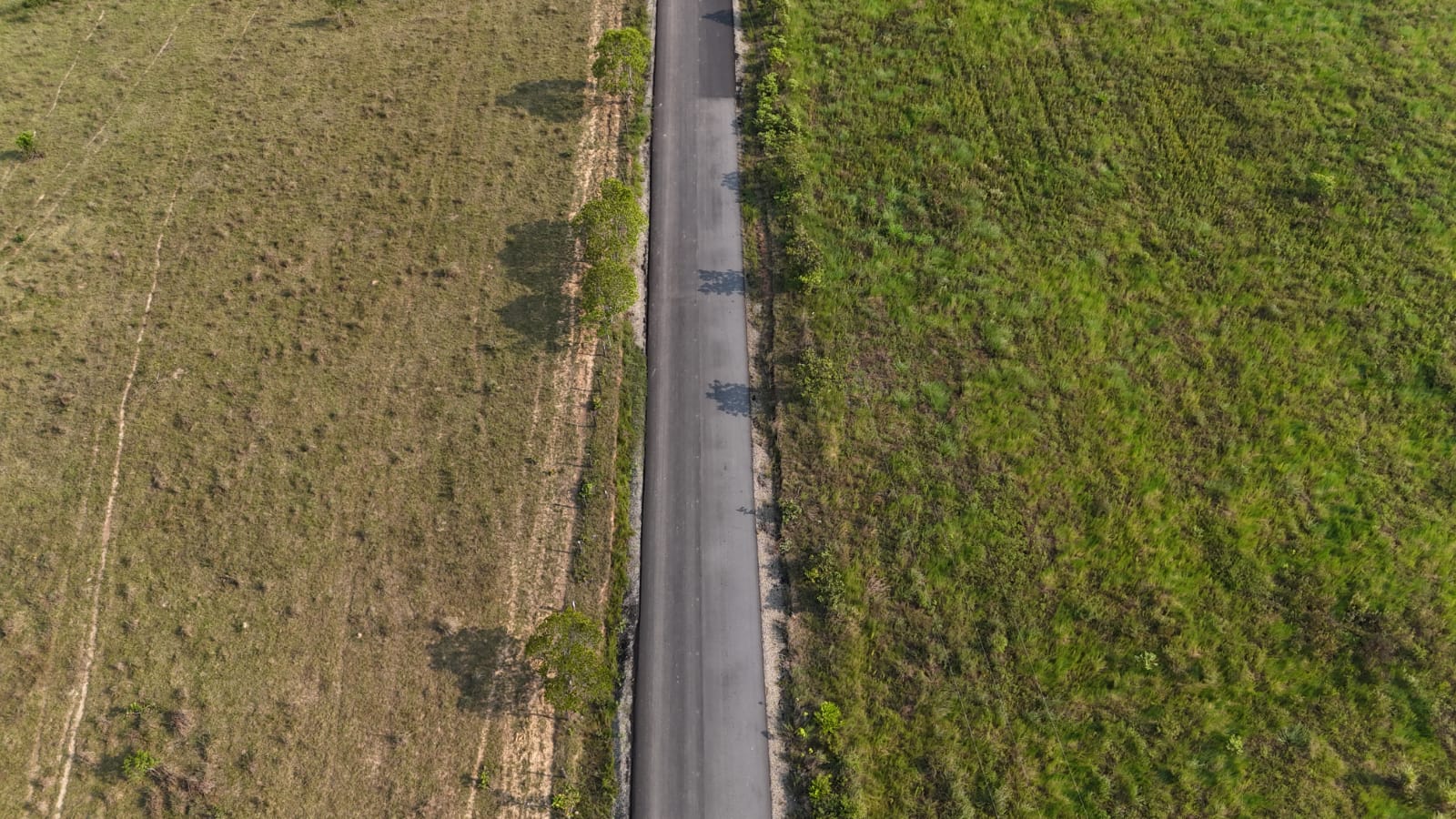 Así avanza la pavimentación que conecta las veredas Chafurray y Tierra Grata, en Puerto Lleras 2