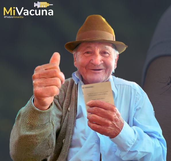 Ya puede consultar el carné digital de vacunación contra la fiebre amarilla 1 Ya puede consultar el carné digital de vacunación contra la fiebre amarilla 1