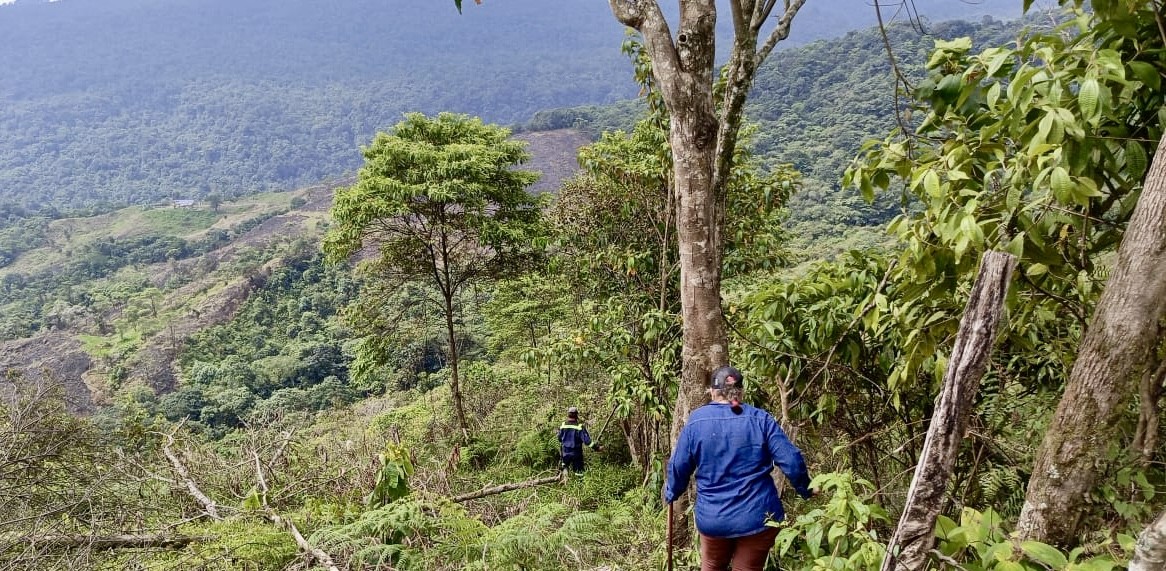 Compensan a familia desplazada de su finca en Acacías 1 Compensan a familia desplazada de su finca en Acacías 1