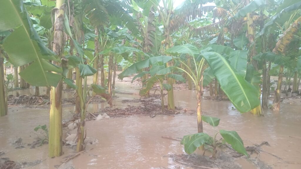 Ríos en alerta roja: lluvias azotan Meta y Casanare, aumenta la crisis por el invierno 2 Ríos en alerta roja: lluvias azotan Meta y Casanare, aumenta la crisis por el invierno 2