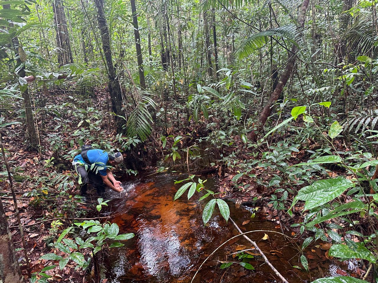 Suelos ricos en carbono en los Llanos podrían ser clave para la estrategia climática de Colombia 1