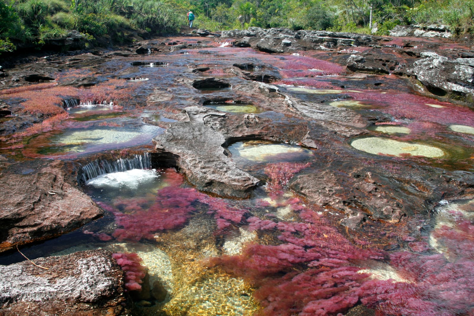 Ya puede visitar Caño Cristales: arranca la temporada turística 2025 en La Macarena 1 Ya puede visitar Caño Cristales: arranca la temporada turística 2025 en La Macarena 1