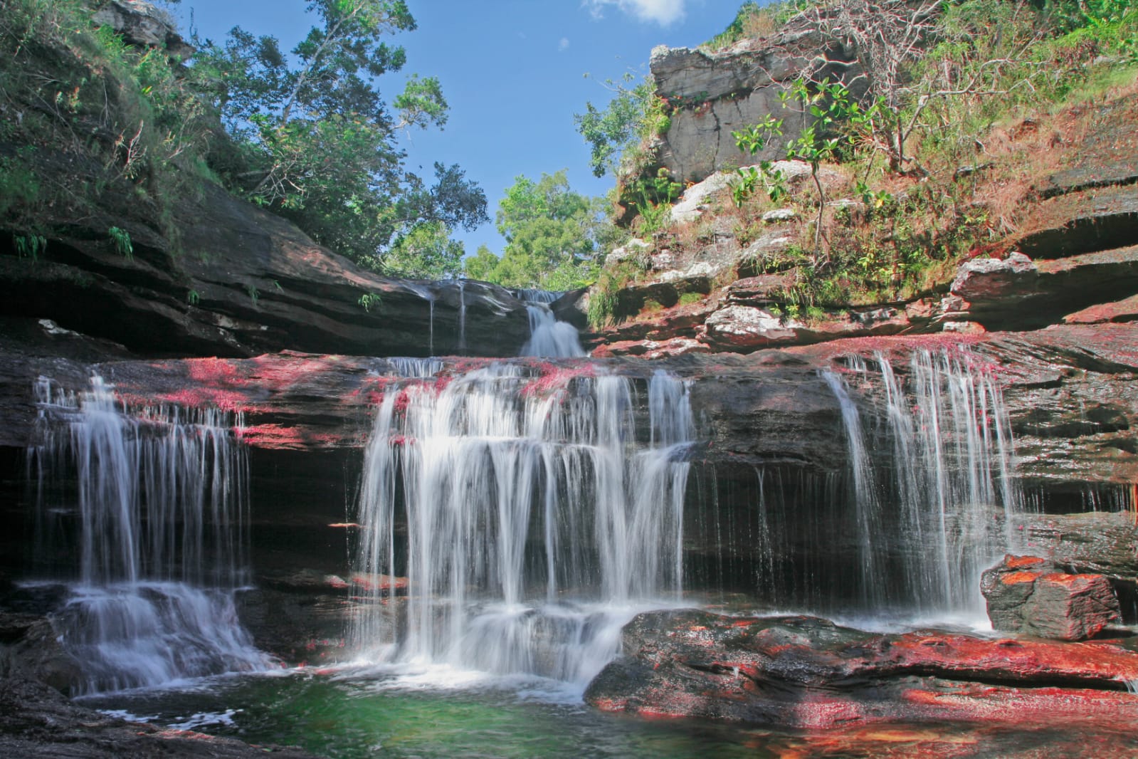 Ya puede visitar Caño Cristales: arranca la temporada turística 2025 en La Macarena 2