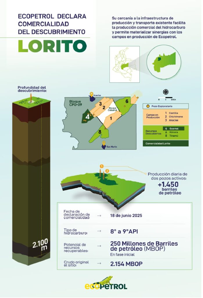 Ecopetrol anunció comercialidad del Campo Lorito, en el Meta, con 250 millones de barriles 2 Ecopetrol anunció comercialidad del Campo Lorito, en el Meta, con 250 millones de barriles 2