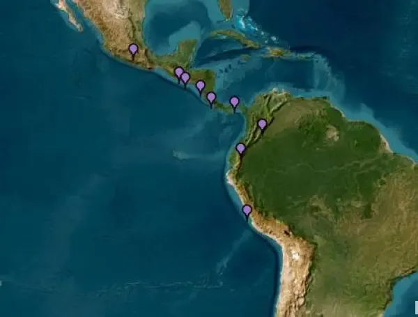 Tsunami en Colombia: riesgos, zonas en alerta y horarios de llegada de la primera ola 1 Tsunami en Colombia: riesgos, zonas en alerta y horarios de llegada de la primera ola 1