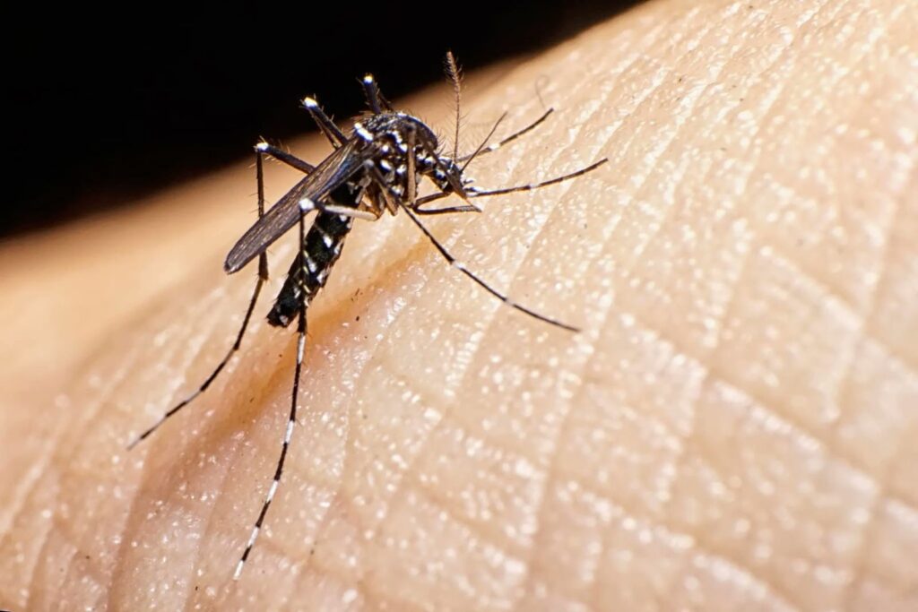 Confirman tercer fallecido por fiebre amarilla en el Meta