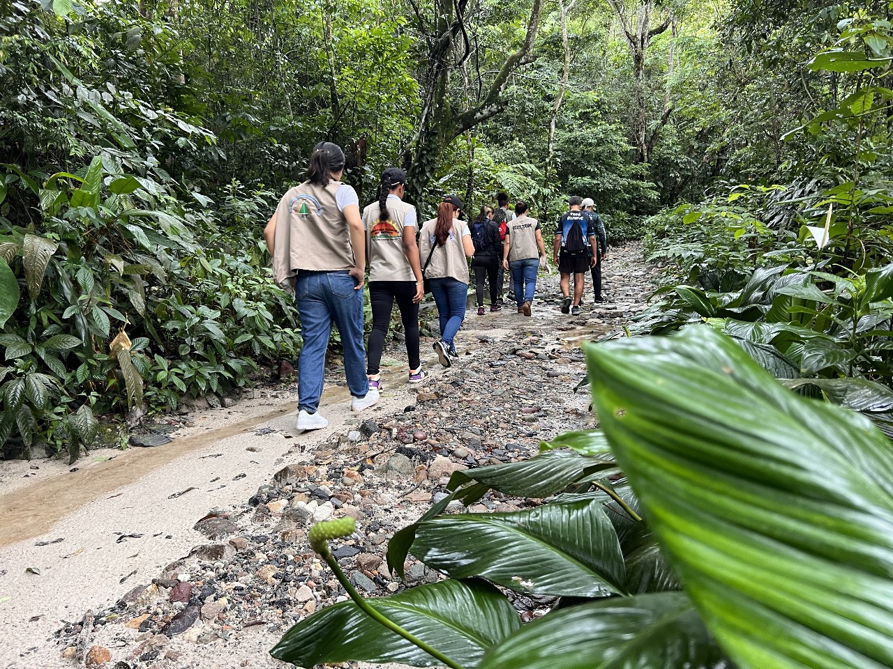 Guías turísticos de Villavicencio ya pueden postularse a la Medalla al Mérito Turístico 2025 1 Guías turísticos de Villavicencio ya pueden postularse a la Medalla al Mérito Turístico 2025 1