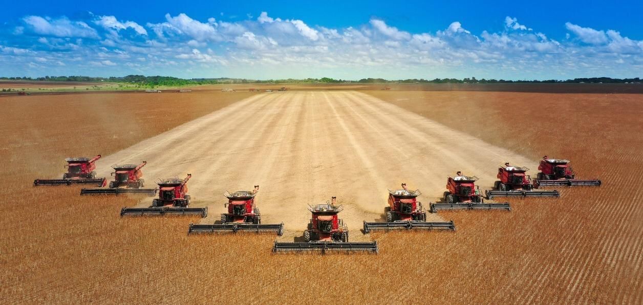 Análisis sobre el panorama alimentario y de seguridad en la Altillanura 1