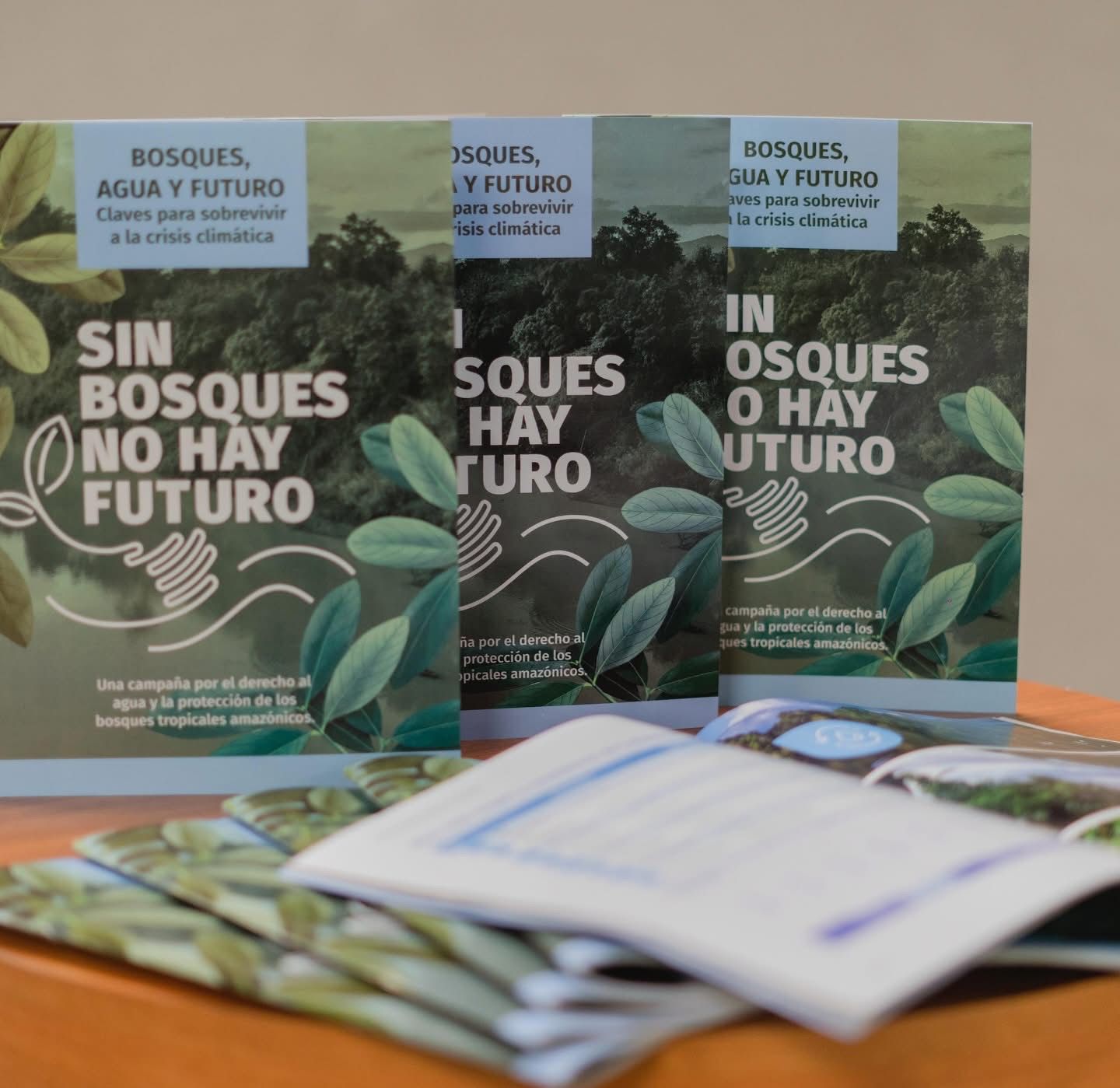 “Sin bosques no hay futuro”: campaña que une fe, ciencia y periodismo por la Amazorinoquia 2 “Sin bosques no hay futuro”: campaña que une fe, ciencia y periodismo por la Amazorinoquia 2
