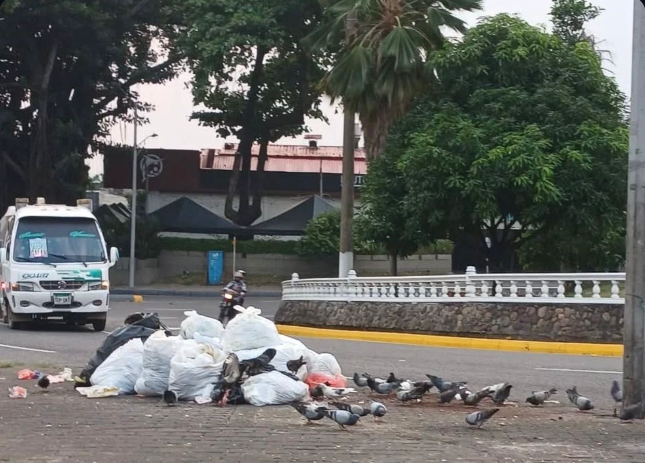 Villavicencio y su batalla contra la basura 2