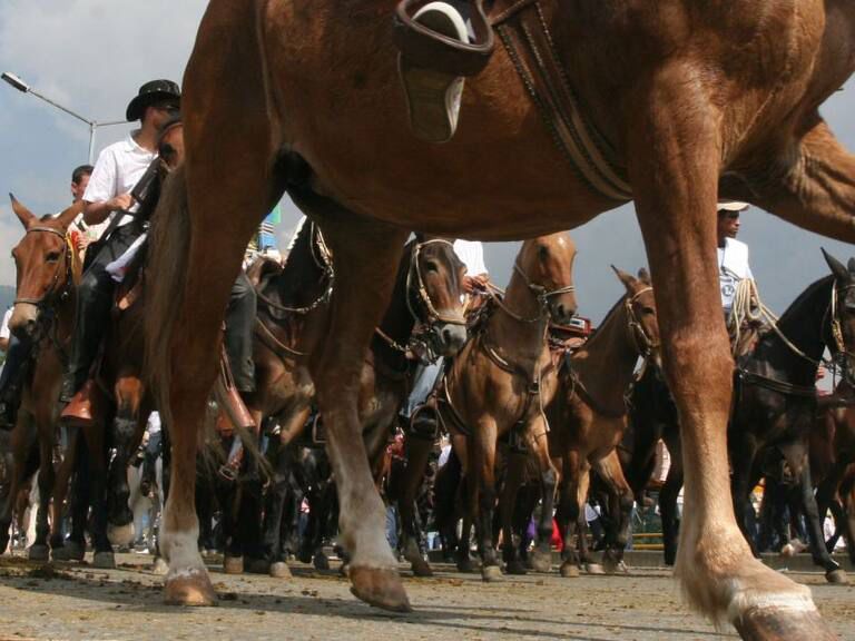 Cabalgatas | Opinión 1 Cabalgatas | Opinión 1