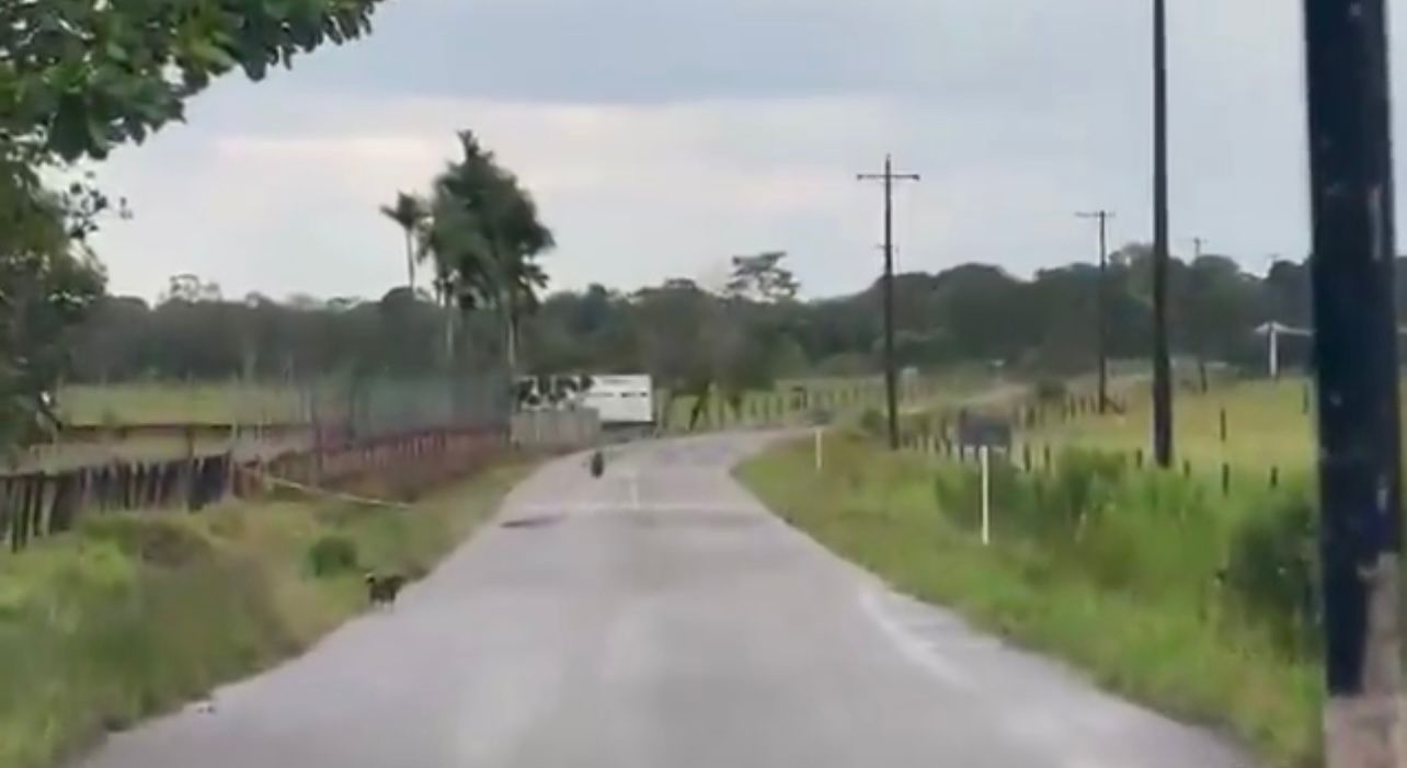 Ejército informó sobre falsa alarma de explosivo en la vía San Martín – Fuentedeoro