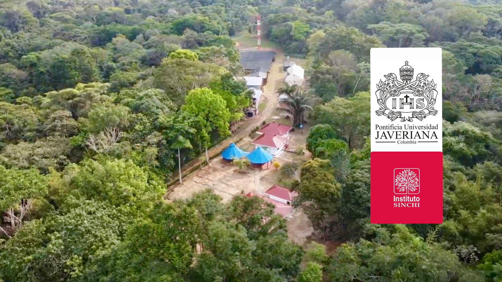 Granada será sede de diplomado gratuito para el manejo sostenible de los bosques amazónicos