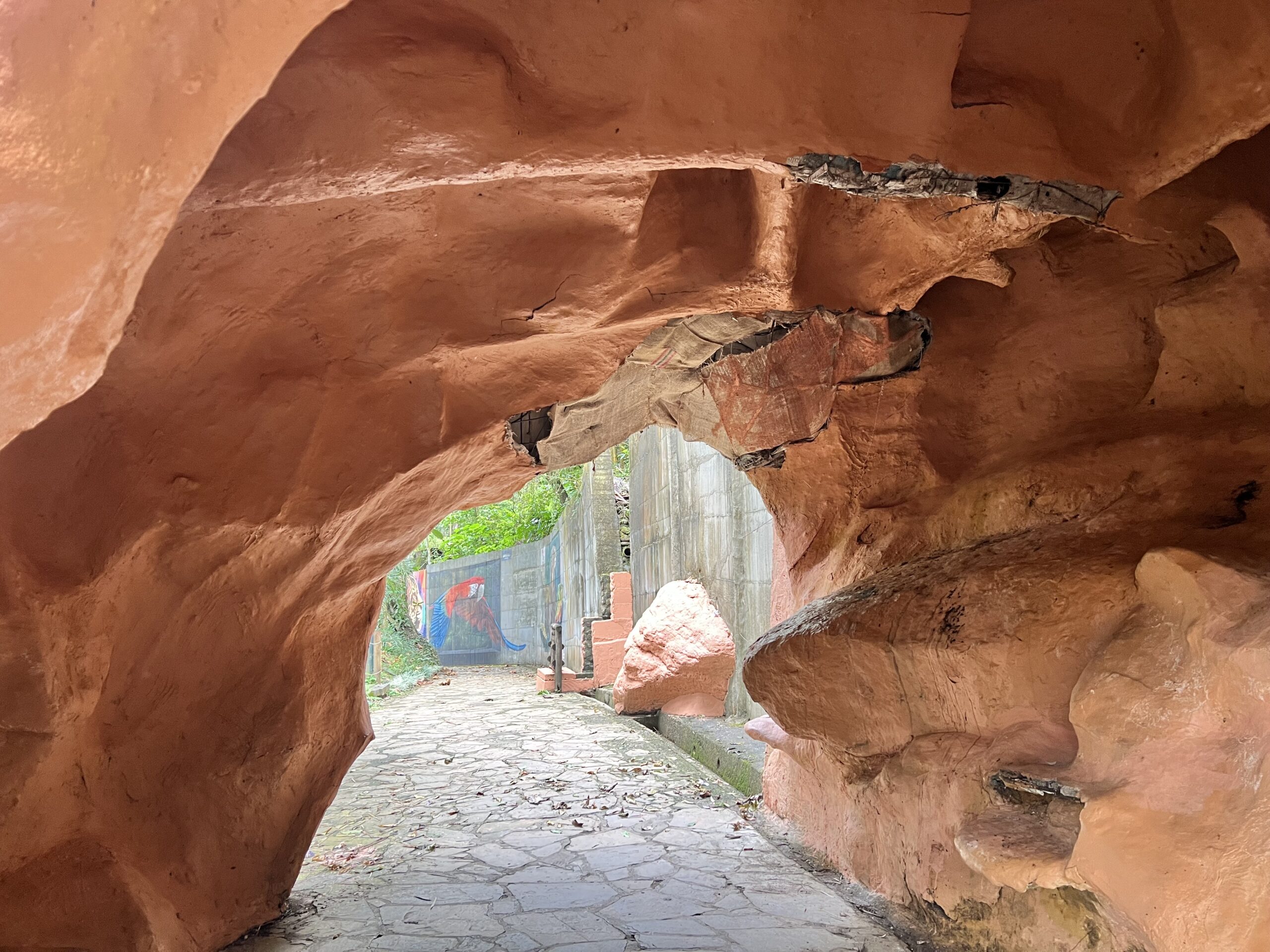 Bioparque Los Ocarros: Ícono turístico que divide opiniones mientras se prepara una inversión de $40 mil millones 5