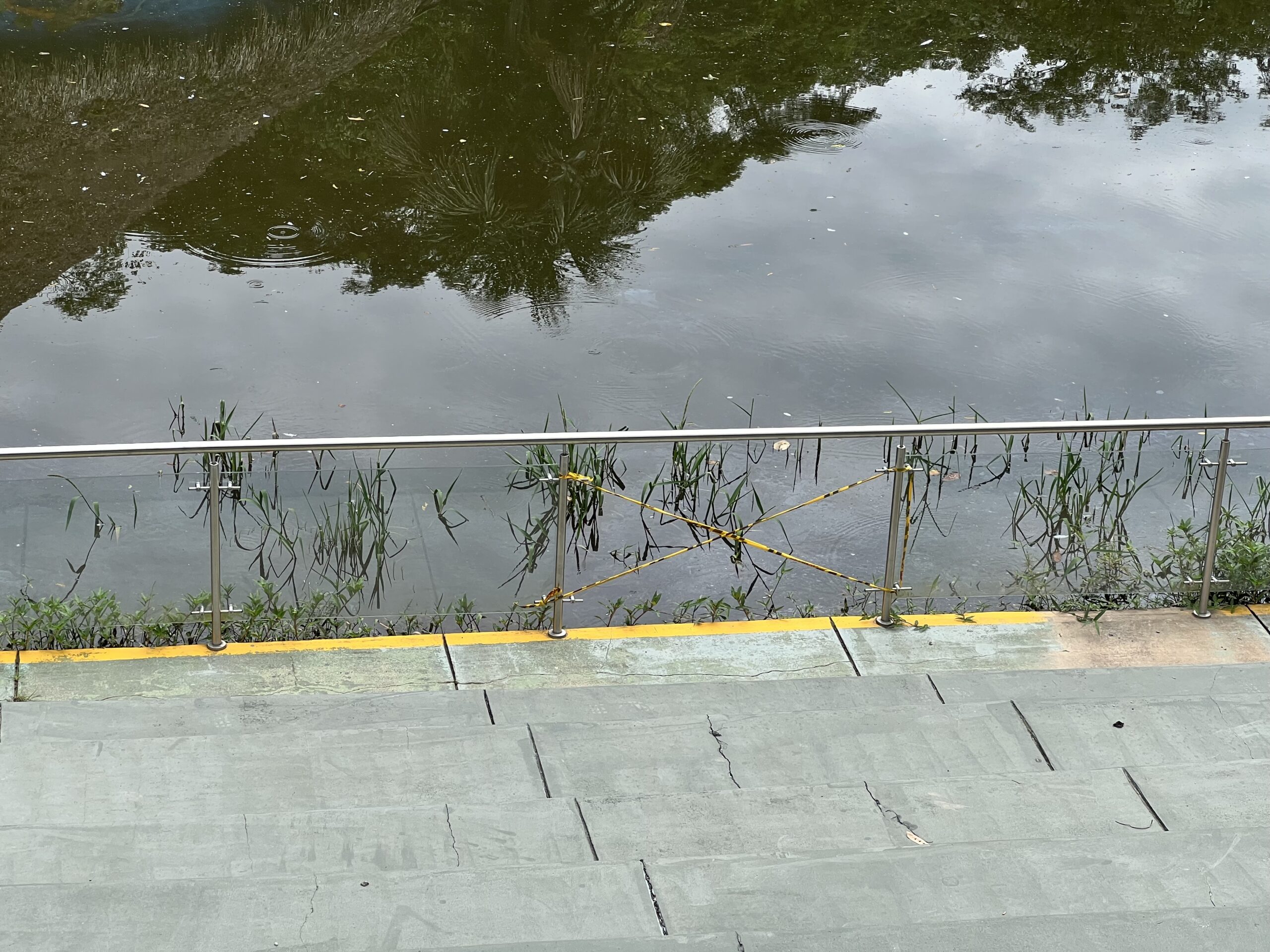 Bioparque Los Ocarros: Ícono turístico que divide opiniones mientras se prepara una inversión de $40 mil millones 2