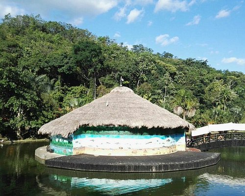 Entre la crisis y la oportunidad: así se reorganiza el turismo llanero 3 Entre la crisis y la oportunidad: así se reorganiza el turismo llanero 3