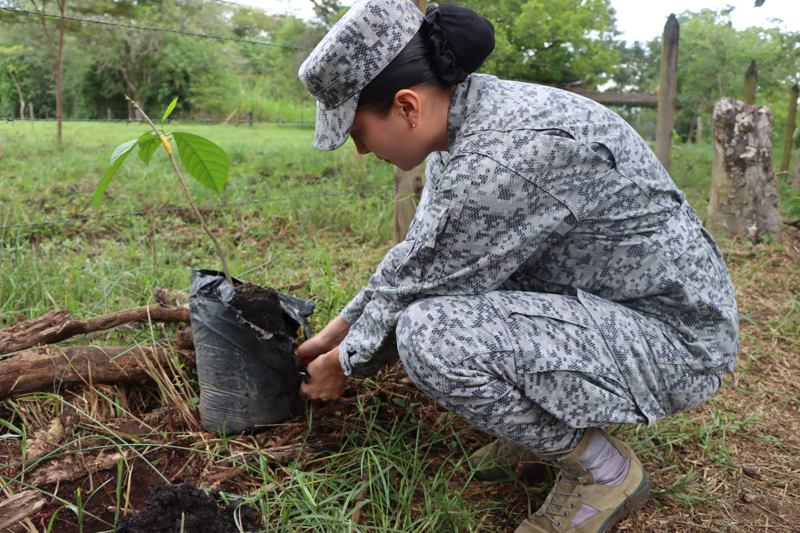 En Villavicencio se sembraron mil árboles como parte del reto nacional '500.000 árboles en un minuto' 1 En Villavicencio se sembraron mil árboles como parte del reto nacional '500.000 árboles en un minuto' 1